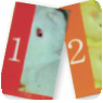 ナンバーカード(知育用カードをうさぎで表現)